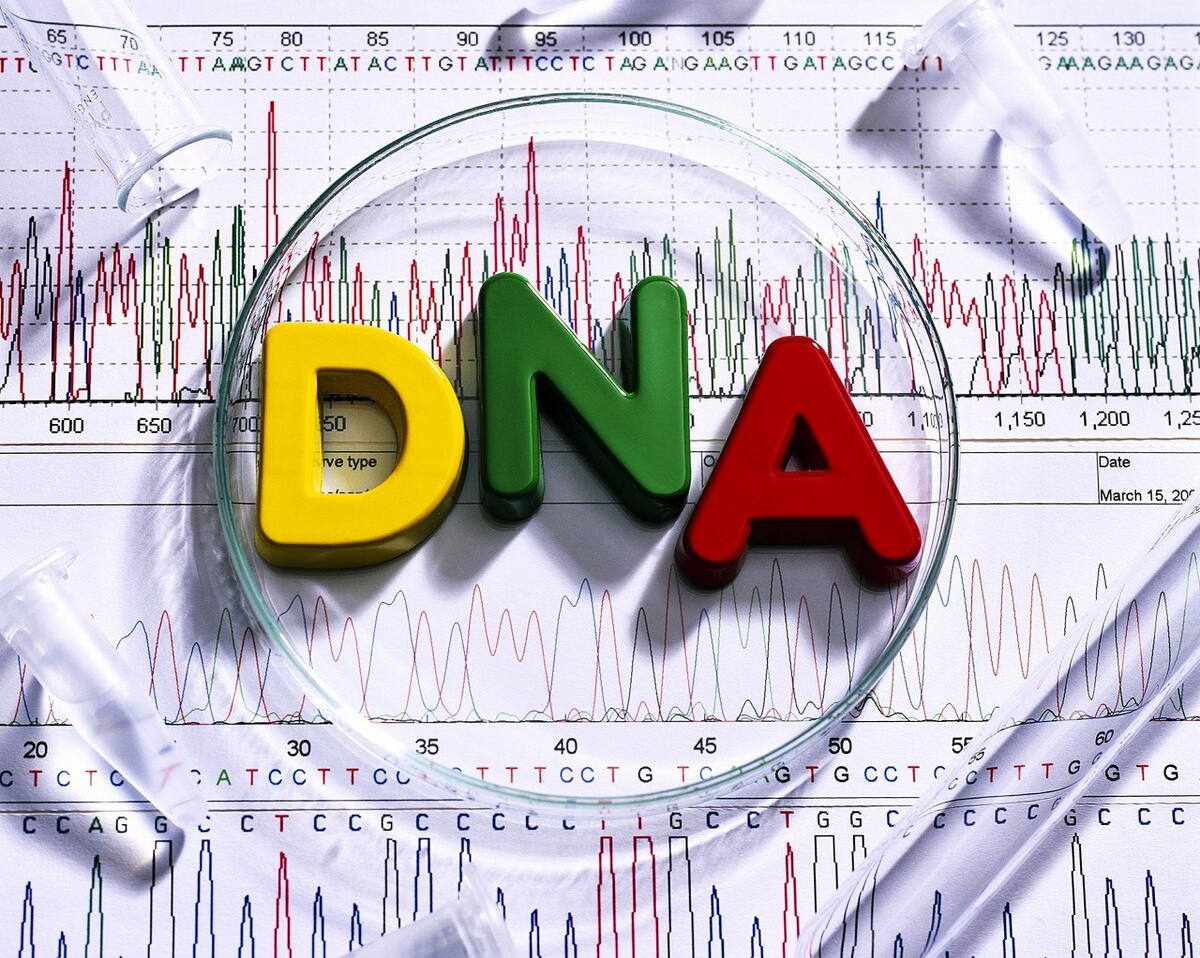 DNA亲子鉴定与传统血缘检测的区别，南京解读最全对比