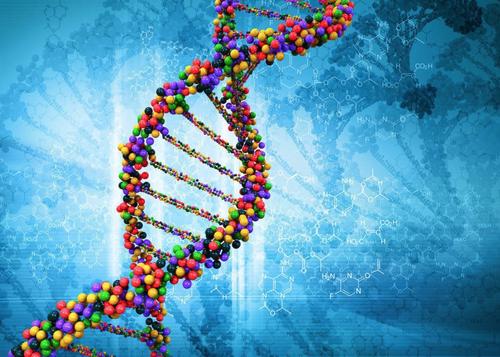解开家族谱系的钥匙：如何在南京用DNA技术寻根问祖？
